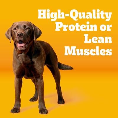 Show full view: Pedigree Tender Bites Complete Nutrition Chicken & Steak Flavor Dry Dog Food, 30-lb bag slide 4 of 11