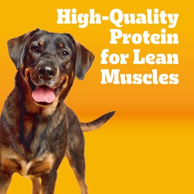 Show full view: Pedigree Healthy Weight Roasted Chicken & Vegetable Flavor Adult Dry Dog Food, 14-lb bag slide 4 of 11