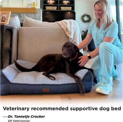 Show full view: Bedsure Sherpa Sofa Dog Bed with Washable Removable Cover, Navy, X-Large slide 8 of 11