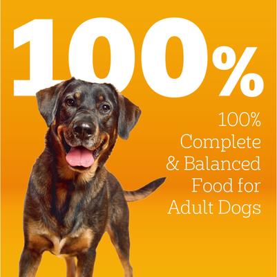 Show full view: Pedigree Roasted Chicken & Vegetable Flavor with Bacon Flavored Bites Adult Dry Dog Food, 44-lb bag slide 5 of 11