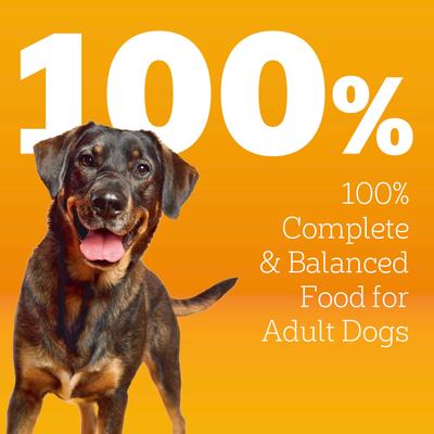 Show full view: Pedigree High Protein Beef & Lamb Flavor Dog Kibble Adult Dry Dog Food, 44-lb bag slide 5 of 12