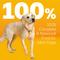 Show in main carousel: Pedigree with MarroBites Steak & Vegetable Flavor Pieces Adult Dry Dog Food, 36-lb bag slide 5 of 11