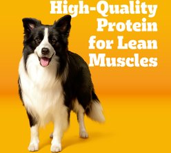 Pedigree with MarroBites Pieces Steak & Vegetable Flavor Adult Dry Dog Food, 14-lb bag slide 2 of 9