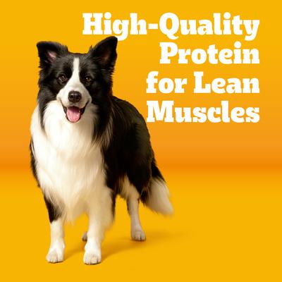 Show full view: Pedigree with MarroBites Pieces Steak & Vegetable Flavor Adult Dry Dog Food, 14-lb bag slide 4 of 10