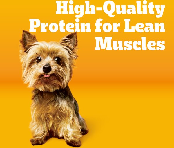 Show full view: Pedigree Tender Bites Complete Nutrition Chicken & Steak Flavor Small Breed Adult Dry Dog Food, 14-lb bag slide 4 of 11