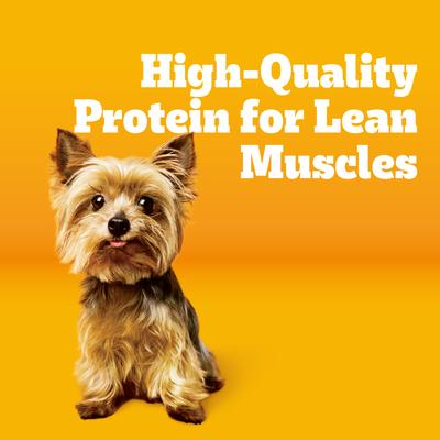 Show full view: Pedigree Tender Bites Complete Nutrition Chicken & Steak Flavor Small Breed Adult Dry Dog Food, 14-lb bag slide 4 of 11