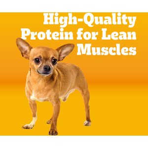 Pedigree Small Dog Complete Nutrition Grilled Steak & Vegetable Flavor Dog Kibble Small Breed Adult Dry Dog Food, 14-lb bag