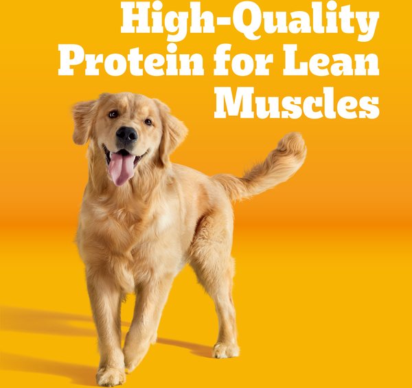 Pedigree Complete Nutrition Roasted Chicken, Rice & Vegetable Flavor Dog Kibble Adult Dry Dog Food