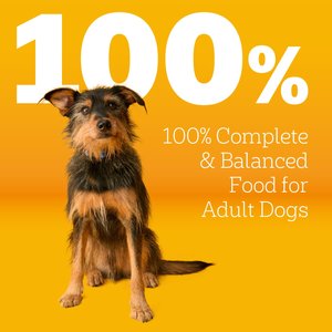 Pedigree Complete Nutrition Grilled Steak & Vegetable Flavor Dog Kibble Adult Dry Dog Food, 44-lb bag