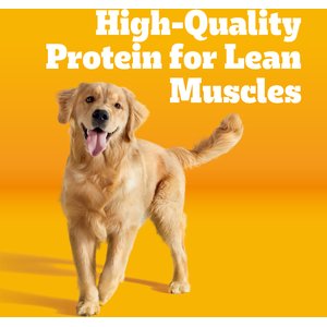 Pedigree Complete Nutrition Grilled Steak & Vegetable Flavor Dog Kibble Adult Dry Dog Food, 44-lb bag