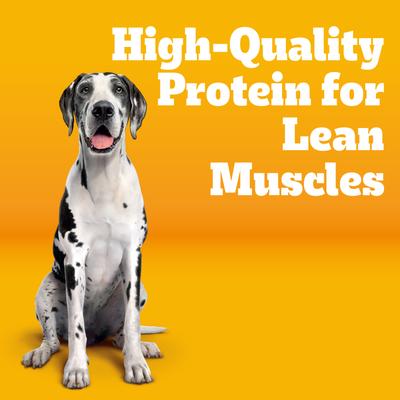 Show full view: Pedigree Big Dogs Adult Complete Nutrition Large Breed Roasted Chicken Flavor Dry Dog Food, 16-lb bag slide 4 of 11