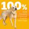 Show in main carousel: Pedigree Big Dogs Adult Complete Nutrition Large Breed Roasted Chicken Flavor Dry Dog Food, 16-lb bag slide 5 of 11