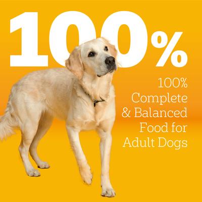 Show full view: Pedigree Big Dogs Adult Complete Nutrition Large Breed Roasted Chicken Flavor Dry Dog Food, 16-lb bag slide 5 of 11