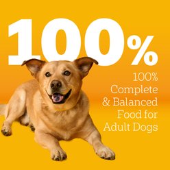 Pedigree Small Dog Complete Nutrition Roasted Chicken, Rice & Vegetable Flavor Small Breed Adult Dry Dog Food, 3.5-lb bag slide 2 of 9