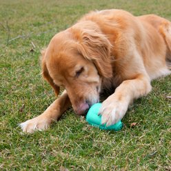 Chew King by Mammoth Premium Extremely Durable Natural Rubber Tough Treat Dog Chew Toy, Green, 2 count, Large slide 2 of 6