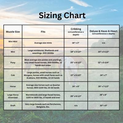 Show full view: Best Friend Standard Grazing Horse Muzzle, Cob slide 6 of 6