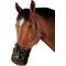 Show in main carousel: Best Friend Standard Grazing Horse Muzzle, Cob slide 3 of 6