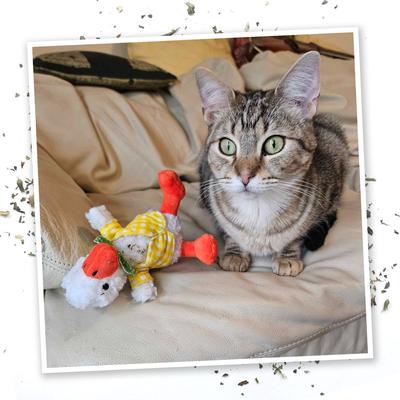 Show full view: Meowijuana Refillable Get Sprung Duckling Cat Plush Toy with Catnip slide 6 of 8