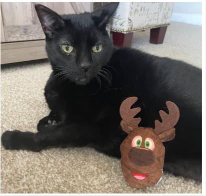 Show full view: Meowijuana Get Blitzed Reindeer Refillable Plush Cat Toy with Catnip slide 4 of 8