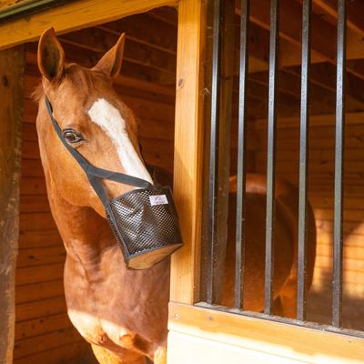 Show full view: Best Friend Soft Stall Horse Muzzle, Mini slide 3 of 4