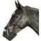 Show in main carousel: Best Friend Soft Stall Horse Muzzle, Mini slide 1 of 4
