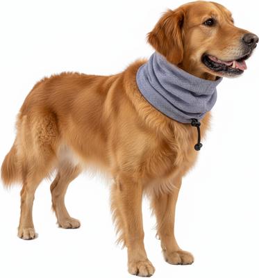 Show full view: Labra Calming Noise Protection Dog Ear Headband, Purple, Medium slide 3 of 7