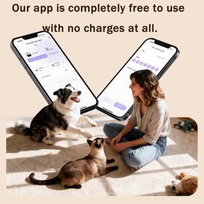 Show full view: ONIZOOMI Smart Camera 2.4G Automatic Dual Bowl Cat & Dog Feeder, Black, 30-Cup slide 9 of 11