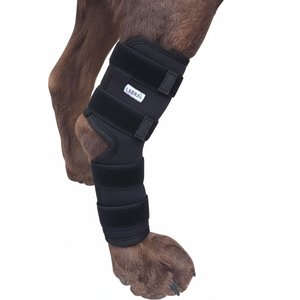 Labra Extra Supportive Dog Hock Brace with Flex Straps, Large