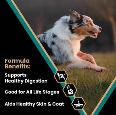 Show full view: VICTOR Gluten-Free Ocean Fish Formula with Salmon Omega-3 Enriched Dry Dog Food, 15-lb bag slide 3 of 12