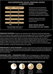 VICTOR Grain-Free Yukon River Canine with Salmon High Protein Dry Dog Food, 15-lb bag slide 2 of 9