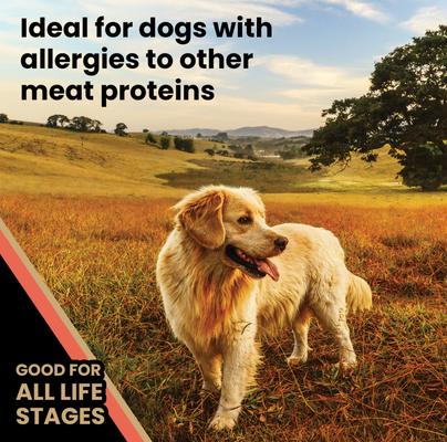 Show full view: VICTOR Grain-Free Yukon River Canine with Salmon High Protein Dry Dog Food, 15-lb bag slide 6 of 12