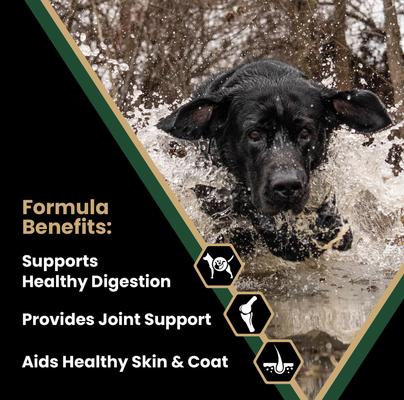 Show full view: VICTOR Performance Active High Protein Hip & Joint Support Adult Dry Dog Food, 5-lb bag slide 3 of 12