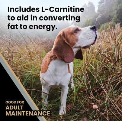 Show full view: VICTOR Senior Healthy Weight Joint Support Low Fat Gluten-Free Dry Dog Food, 40-lb bag slide 6 of 12