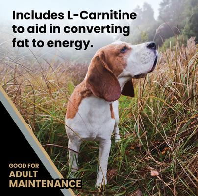 Show full view: VICTOR Senior Healthy Weight Joint Support Low Fat Gluten-Free Dry Dog Food, 5-lb bag slide 6 of 12