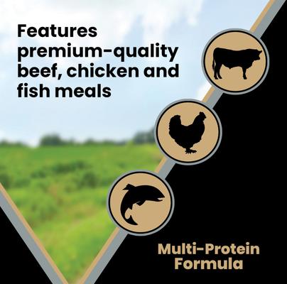 Show full view: VICTOR Senior Healthy Weight Joint Support Low Fat Gluten-Free Dry Dog Food, 5-lb bag slide 7 of 12