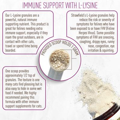 Show full view: Strawfield Pets L-Lysine Immune Support Cat Supplement, 7-oz jar slide 6 of 11