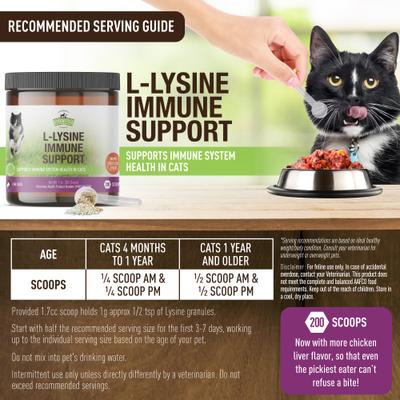 Show full view: Strawfield Pets L-Lysine Immune Support Cat Supplement, 7-oz jar slide 4 of 11