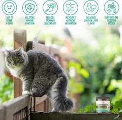 Strawfield Pets Pre + Probiotic Powder Cat Supplement, 4.2-oz jar slide 2 of 9