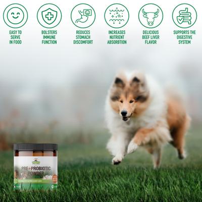 Show full view: Strawfield Pets Pre + Probiotic Powder Dog Supplement, 4.2-oz jar slide 8 of 11