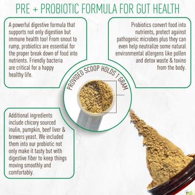 Show full view: Strawfield Pets Pre + Probiotic Powder Dog Supplement, 4.2-oz jar slide 6 of 11