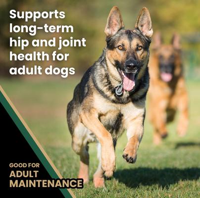 Show full view: VICTOR Grain-Free Hero Canine Hip & Joint Support High Protein Adult Active Dry Dog Food, 50-lb bag slide 6 of 12