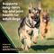 Show in main carousel: VICTOR Grain-Free Hero Canine Hip & Joint Support High Protein Adult Active Dry Dog Food, 30-lb bag slide 6 of 12