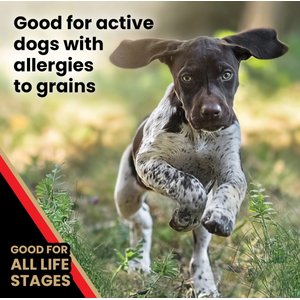 VICTOR Grain-Free Active High Protein Dry Dog Food, 30-lb bag