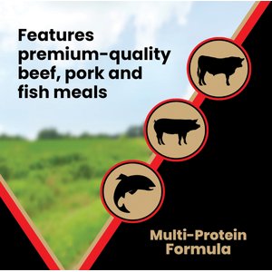 VICTOR Grain-Free Active High Protein Dry Dog Food, 30-lb bag