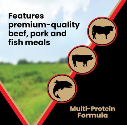 Show full view: VICTOR Grain-Free Active High Protein Dry Dog Food, 30-lb bag slide 7 of 12