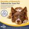 Show in main carousel: Secure SecureDog™ Home Calming Diffuser Refill for Dogs, 2.7-fl oz slide 5 of 7