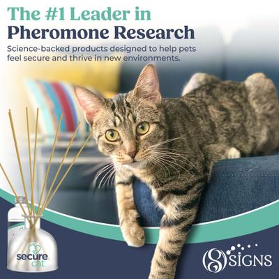 Show full view: Secure SecureCat™ Home Calming Diffuser for Cats, 2.7-fl oz slide 7 of 8