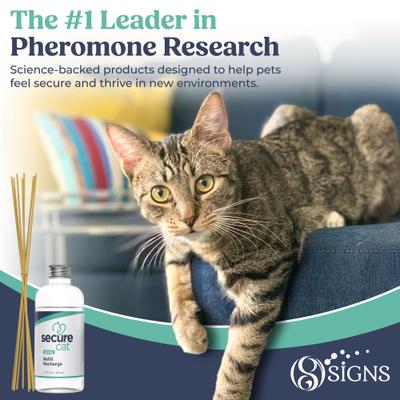 Show full view: Secure SecureCat™ Home Calming Diffuser Refill for Cats, 2.7-fl oz slide 7 of 7
