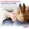 Show in main carousel: Secure SecureBunny™ Home Calming Diffuse Refill for Rabbit, 2.7-fl oz slide 5 of 7