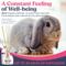 Show in main carousel: Secure SecureBunny™ Home Calming Diffuser for Rabbit, 2.7-fl oz slide 2 of 7